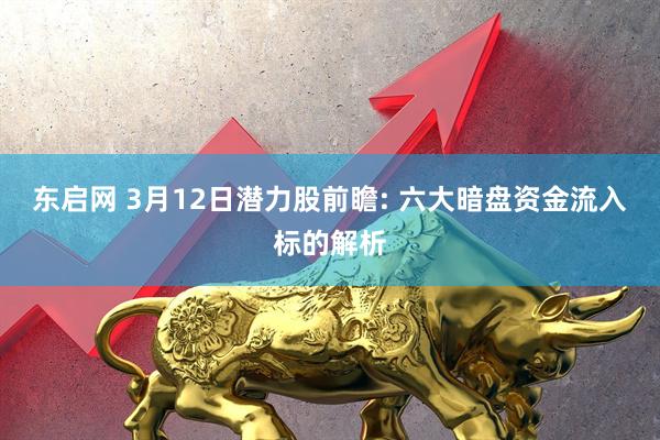 东启网 3月12日潜力股前瞻: 六大暗盘资金流入标的解析
