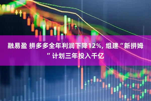 融易盈 拼多多全年利润下降12%, 组建“新拼姆”计划三年投入千亿
