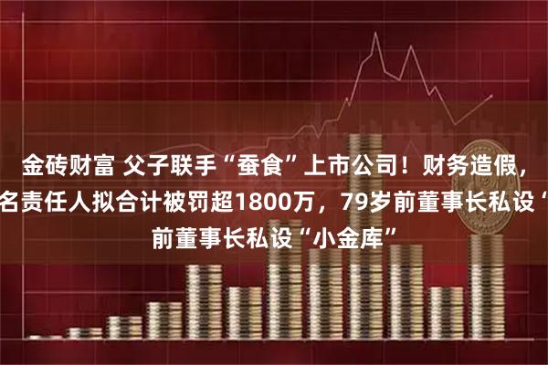 金砖财富 父子联手“蚕食”上市公司！财务造假，公司及7名责任人拟合计被罚超1800万，79岁前董事长私设“小金库”