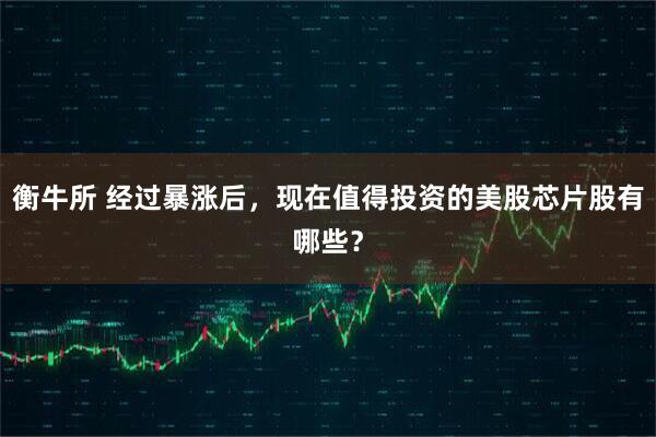 衡牛所 经过暴涨后，现在值得投资的美股芯片股有哪些？