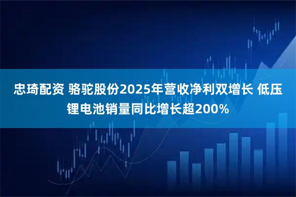 忠琦配资 骆驼股份2025年营收净利双增长 低压锂电池销量同比增长超200%