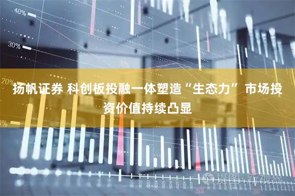 扬帆证券 科创板投融一体塑造“生态力” 市场投资价值持续凸显